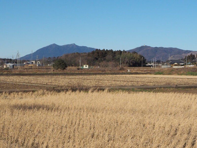 桜地区から見た筑波山